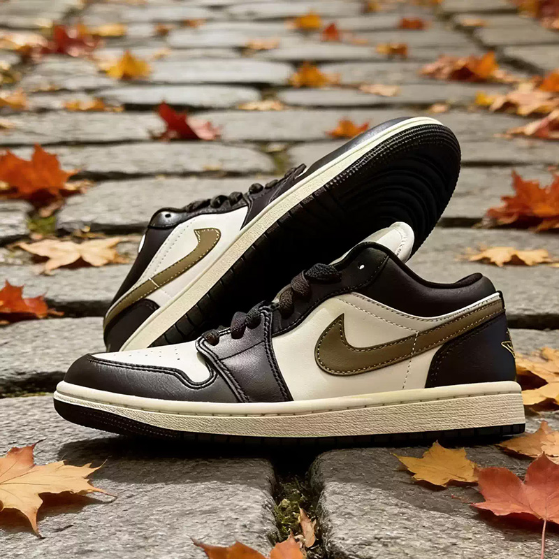 Nike Jordan Air Jordan1 Low We – Women Shoes Jordan Bewertung und Preis