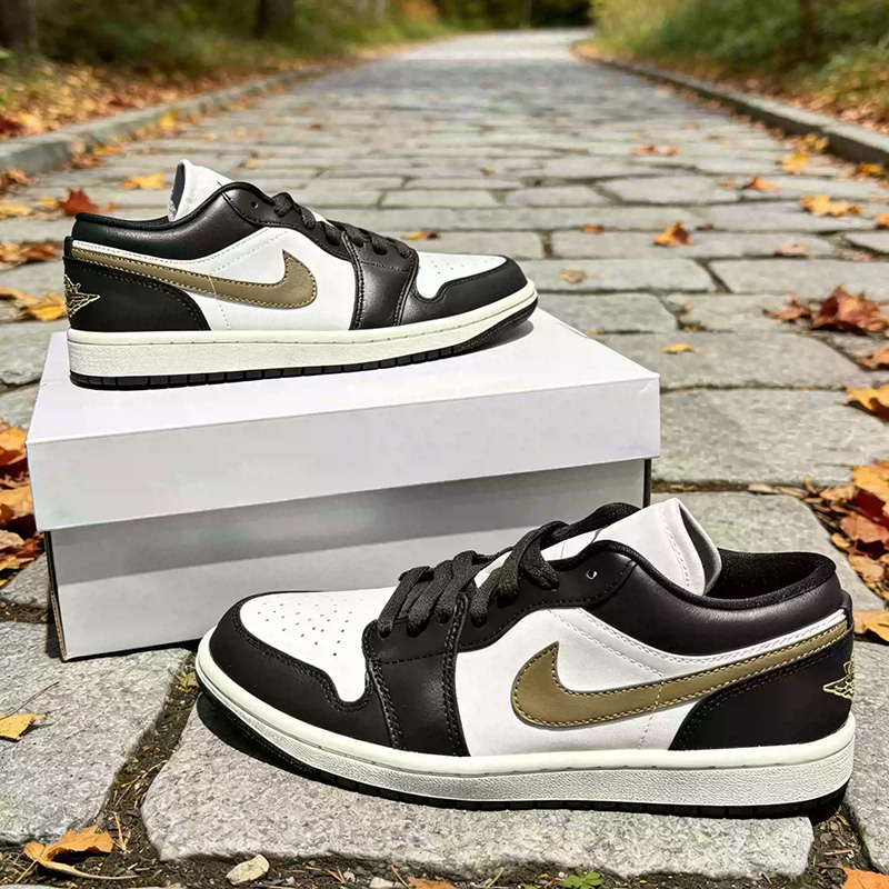 Nike Jordan Air Jordan1 Low We – Women Shoes Jordan Bewertung und Preis